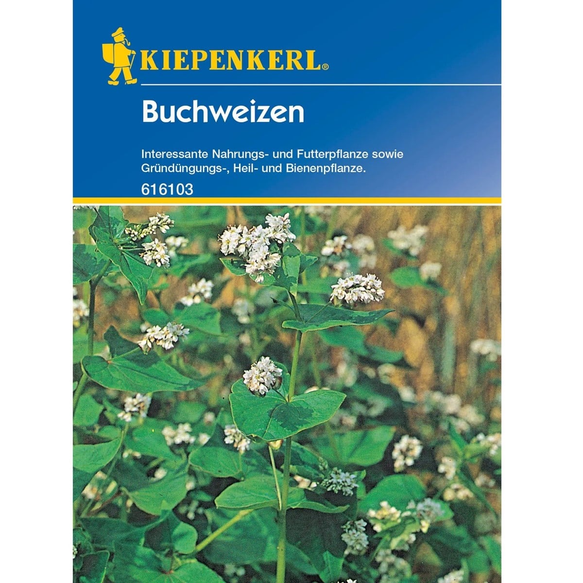 Zelené hnojení - pohanka - osivo - 50 g