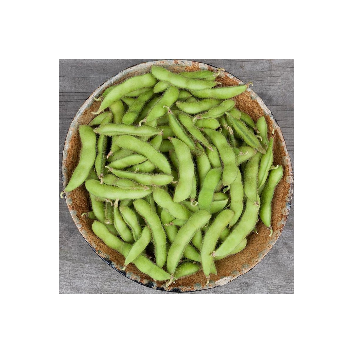 BIO Sója Edamame Chiba Green - Glycine max - bio osivo sóji - 20 ks