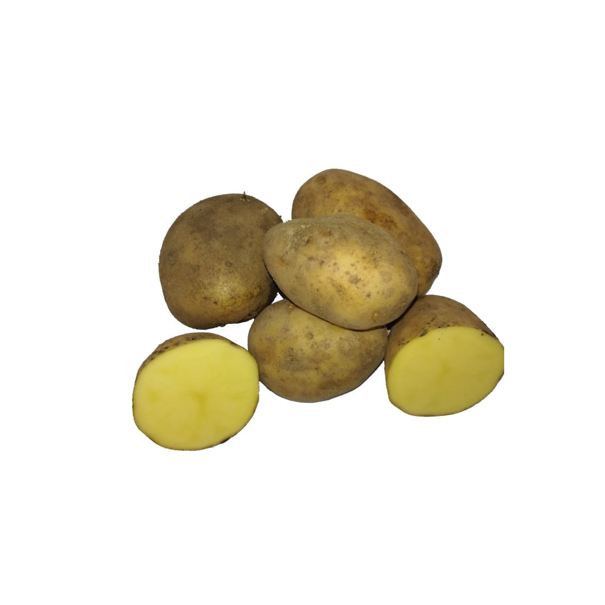BIO sadbové brambory Bellinda - Solanum tuberosum - bio sadba - 10 ks