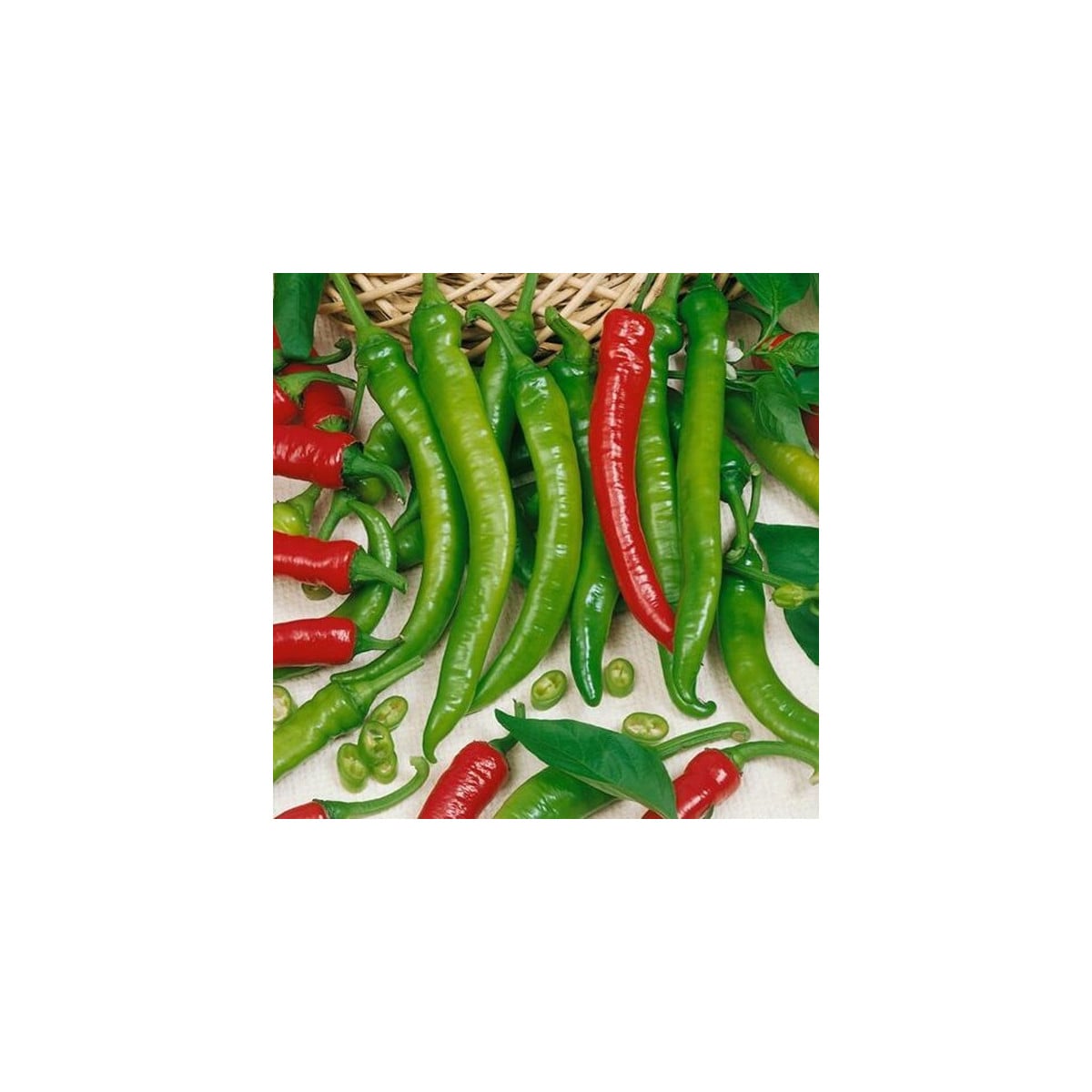Paprika Pálivec - Capsicum annuum - osivo papriky - 20 ks