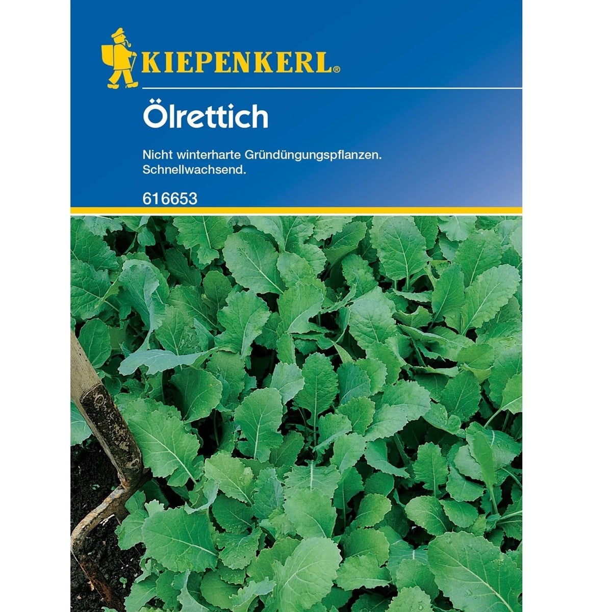 Zelené hnojení - Ředkev olejná - osivo - 75 g