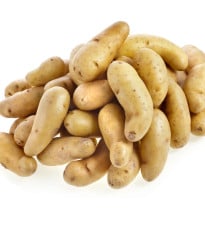 Sadbové brambory Ratte - Solanum tuberosum - sadba - 5 ks