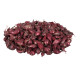 Cibule sazečka Romy - Allium Cepa - cibulky sazečky - 500 g