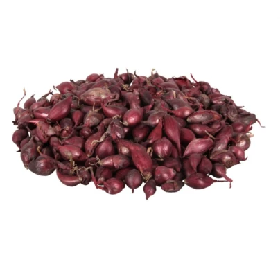 Cibule sazečka Romy - Allium Cepa - cibulky sazečky - 500 g