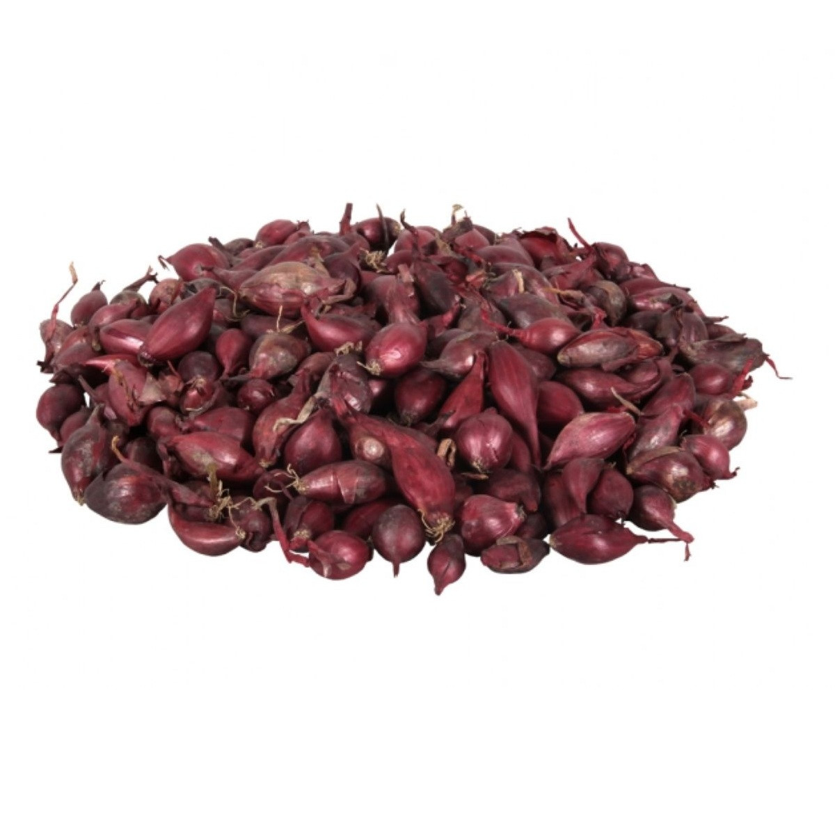 Cibule sazečka Romy - Allium Cepa - cibulky sazečky - 500 g