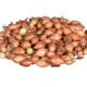 Cibule sazečka Hercules - Allium cepa - cibulky sazečky - 500 g