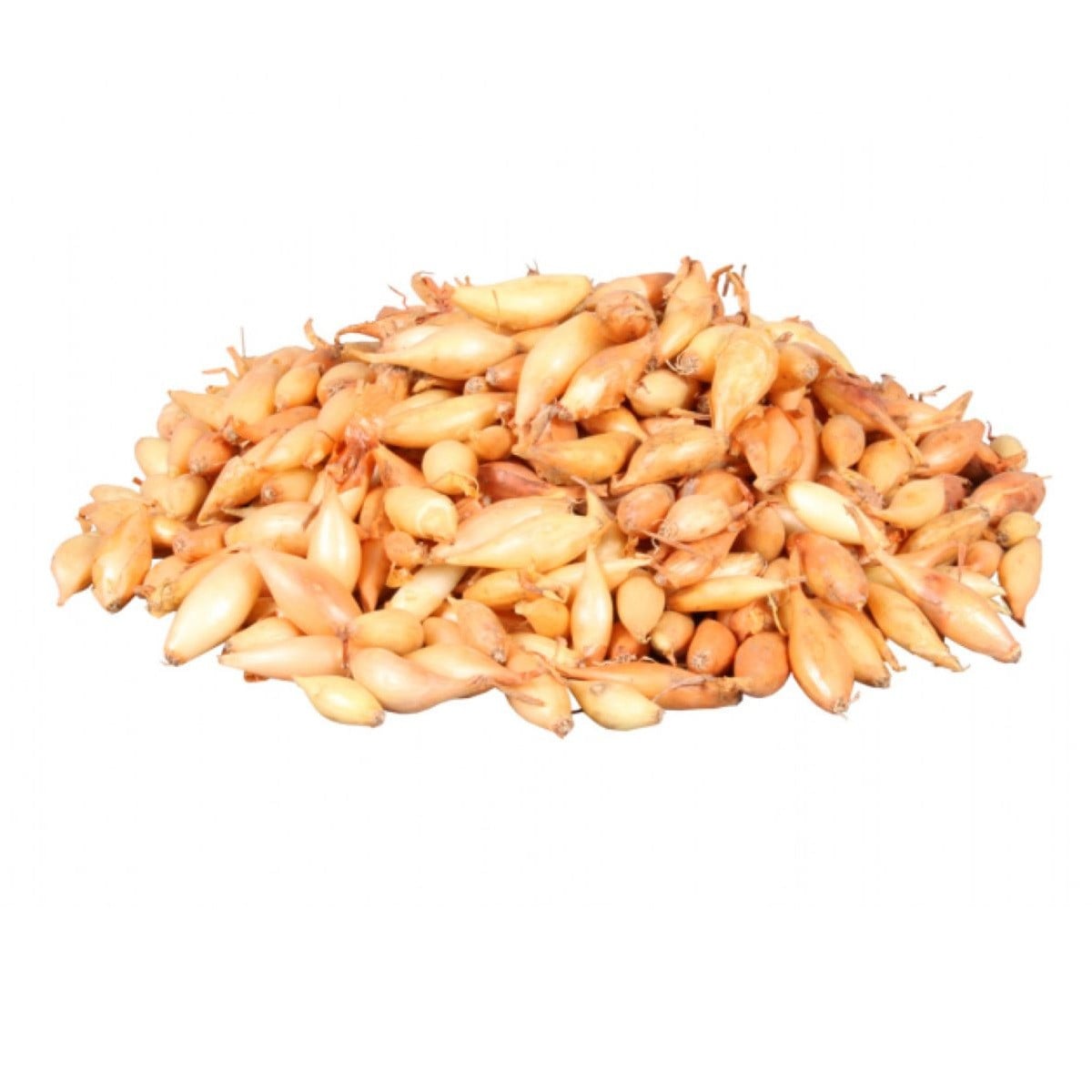 Cibule sazečka Birnformige - Allium cepa - cibulky sazečky - 250 g