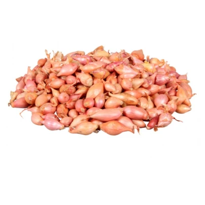 Cibule sazečka Rosanna - Allium Rosanna - cibulky sazečky - 500 g