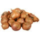 Cibule šalotka Red Sun - Allium cepa - cibule sazečky - 500 g