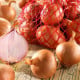 Cibule šalotka Red Sun - Allium cepa - cibule sazečky - 250 g