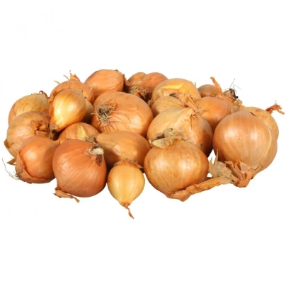 Cibule šalotka Golden Gourmet - Allium cepa - cibule šalotky - 250 g