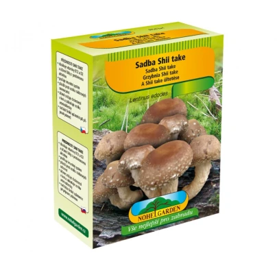 Shii take - Houževnatec jedlý - Lentinula edodes - sadba - 250 ml