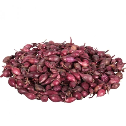 Cibule sazečka Karmen - Allium cepa - cibulky sazečky - 500 g