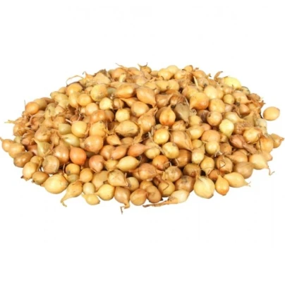 Cibule sazečka Štutgart - Allium cepa - cibulky sazečky - 250 g