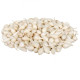 Cibule sazečka Snowball - Allium cepa - cibulky sazečky - 250 g