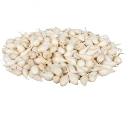 Cibule sazečka Snowball - Allium cepa - cibulky sazečky - 250 g