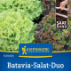 Batavia salát duo Florine & Rossia - výsevný pásek - 1 ks