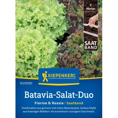 Batavia salát duo Florine & Rossia - výsevný pásek - 1 ks