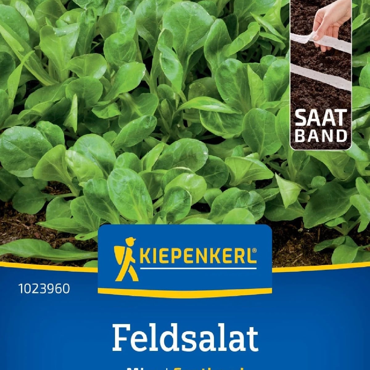 Salát Miro - výsevný pásek - 1 ks