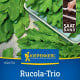 Rukola trio Wildfire, Astra a Ruca - výsevný pásek - 1 ks