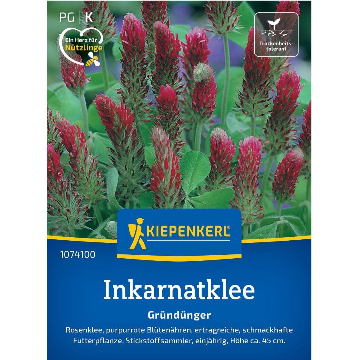 Zelené hnojení - Jetel inkarnát - osivo - 75 g