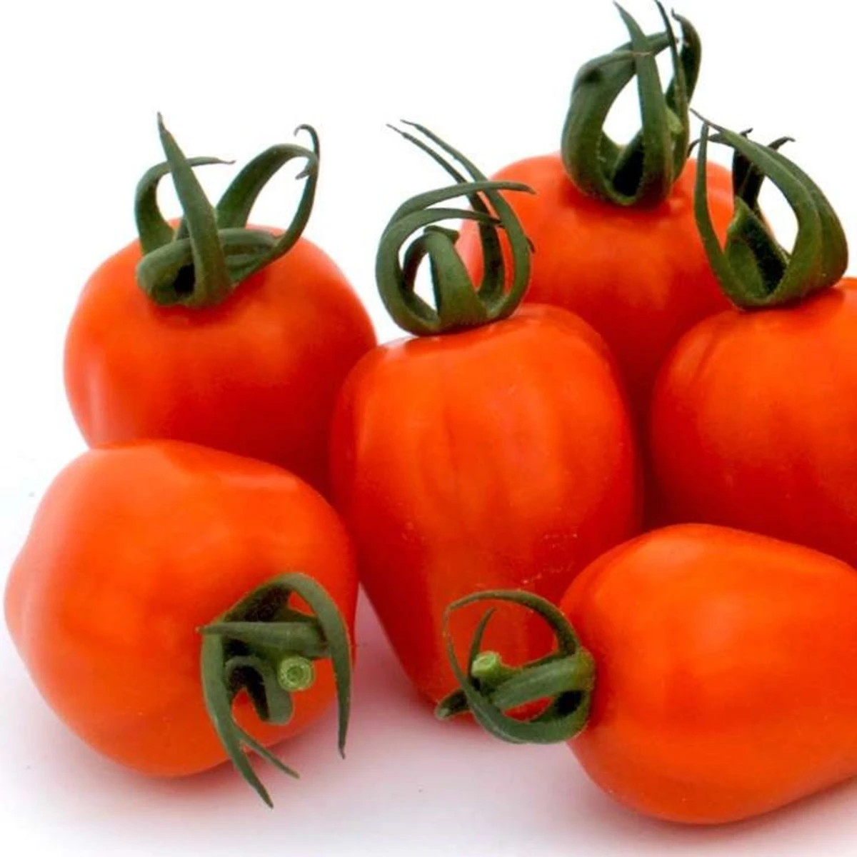 Rajče tyčkové Appleberry F1 PhR oranžové - Solanum lycopersicum - osivo rajčat - 7 ks