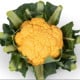 Květák Lisboa F1 - Brassica oleracea - osivo květáku - 10 ks