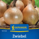 Cibule Exhibition - Allium cepa - osivo cibule - 100 ks
