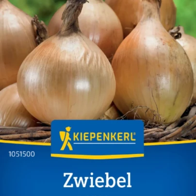 Cibule Exhibition - Allium cepa - osivo cibule - 100 ks