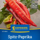 Paprika Thor F1 - Capsicum annuum - osivo papriky - 7 ks