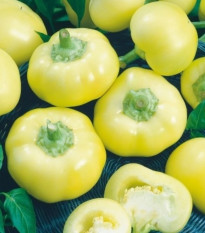 Paprika roční Jablina F1 - Capsicum annuum - osivo papriky - 10 ks