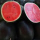 BIO Meloun vodní Sugar Baby - Citrullus lanatus - bio osivo melounu - 6 ks