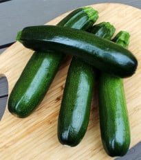 Cuketa Tarmino F1 - Cucurbita pepo - osivo cukety - 6 ks