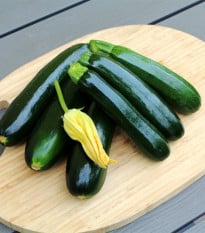 Cuketa Sandokan F1 - Cucurbita pepo - osivo cukety - 8 ks