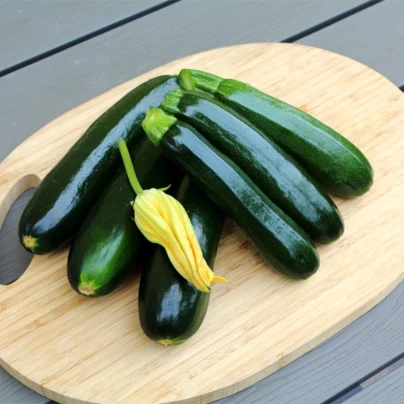 Cuketa Sandokan F1 - Cucurbita pepo - osivo cukety - 8 ks
