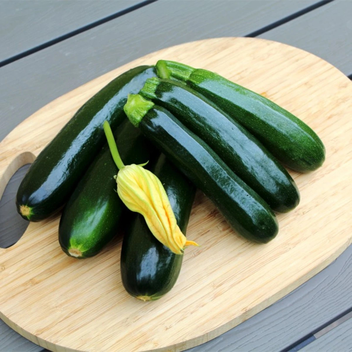 Cuketa Sandokan F1 - Cucurbita pepo - osivo cukety - 8 ks
