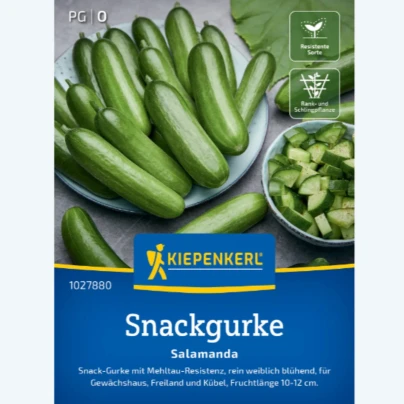 Okurka salátová Salamanda F1 - Cucumis sativus - osivo okurky - 6 ks