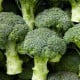 Brokolice Marathon F1 - Brassica oleracea - osivo brokolice - 30 ks