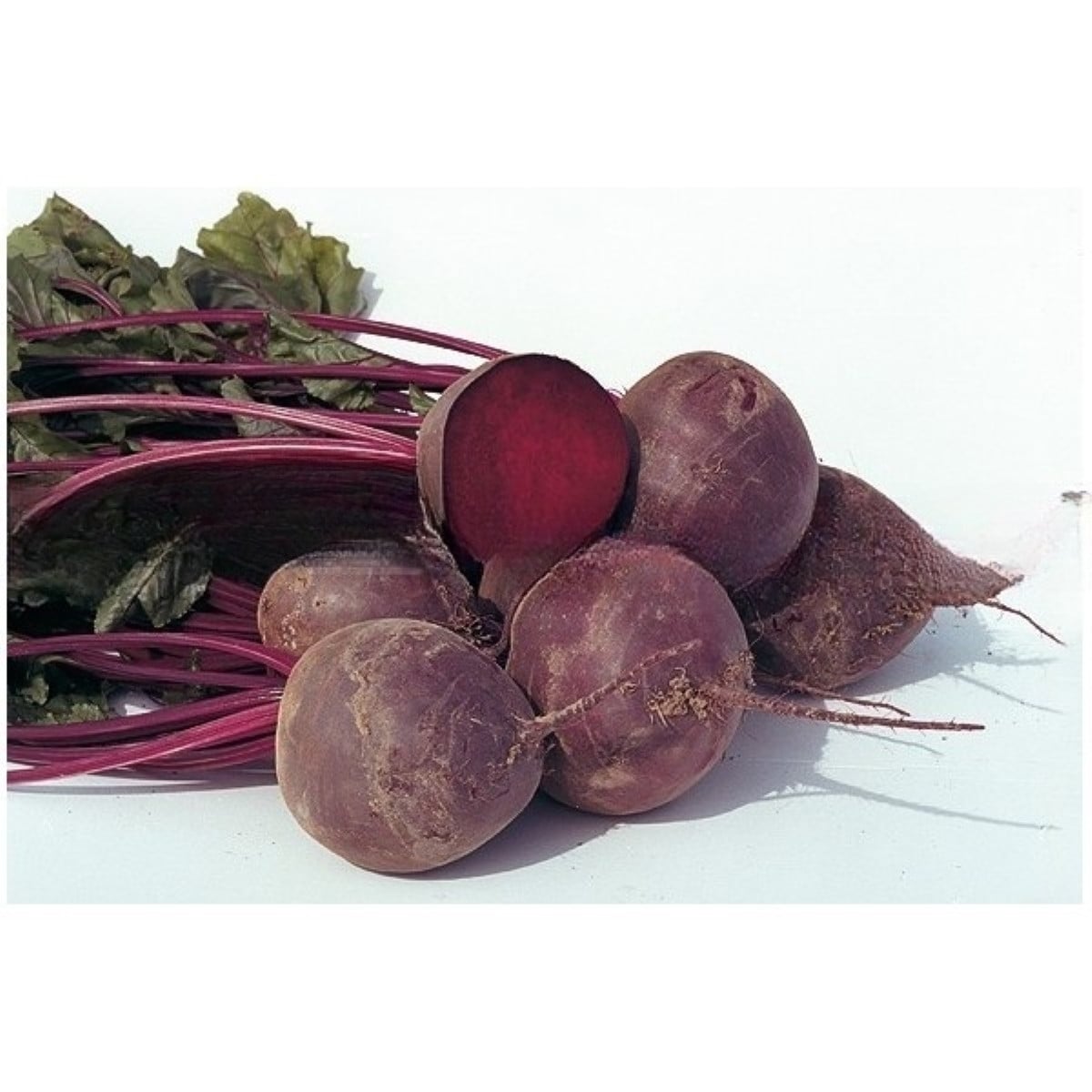 BIO Červená řepa Boro F1 - Beta vulgaris - bio osivo řepy - 50 ks