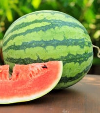 Meloun vodní Nanoor F1 - Citrullus lanatus - osivo melounu - 6 ks