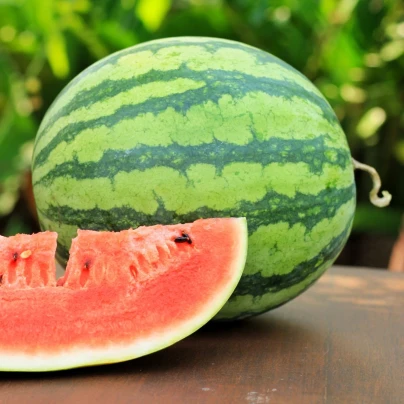 Meloun vodní Nanoor F1 - Citrullus lanatus - osivo melounu - 6 ks