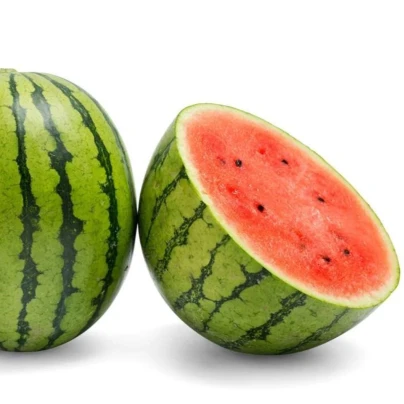 Meloun vodní Nanoor F1 - Citrullus lanatus - osivo melounu - 6 ks