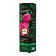 Růže velkokvětá keřová - Fragrant Criterion - Rosa - prostokořenná sazenice růže - 1 ks
