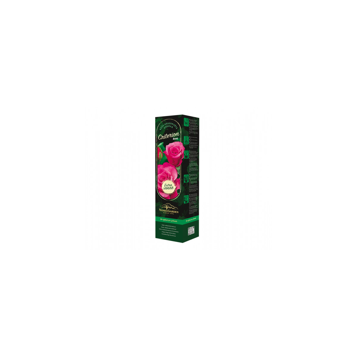 Růže velkokvětá keřová - Fragrant Criterion - Rosa - prostokořenná sazenice růže - 1 ks