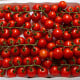 Rajče Gourmelito F1 - Solanum lycopersicum - osivo rajčat - 6 ks