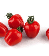Rajče tyčkové Appleberry F1 PhR červené - Solanum lycopersicum - osivo rajčat - 7 ks