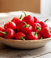 BIO Paprika Red Marble - Capsicum annuum - osivo papriky - 6 ks