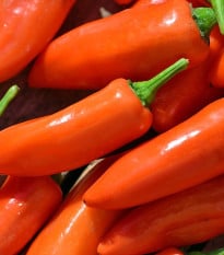 Paprika Tangerine Dream - Capsicum annuum - osivo papriky - 7 ks