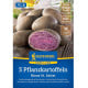 Sadbové brambory Blaue St. Galler - Solanum tuberosum - Kiepenkerl - sadba - 5 ks