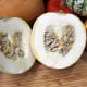 Tykev White Pearl - Cucurbita pepo - osivo tykve - 6 ks